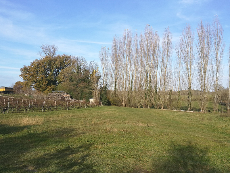 domaine-medoc-vin-rouge-chateau-grand-gallius